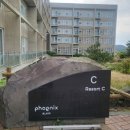 휘닉스제과 | 휘닉스 아일랜드 제주 C동 오션뷰 vs 가든뷰 비교 , 전동카트 후기