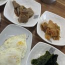 대산1로 | 서산맛집 대산읍 등갈비 추천 ‘대산쌈밥집’ 후기