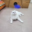 호텔하루 이미지