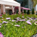 목인동영농조합 이미지