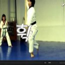 XPL 태권예술단 이미지