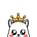 아기애견 이미지