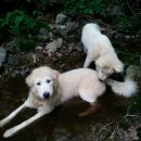 피서농장 이미지