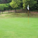 WG스포츠파크고성 이미지