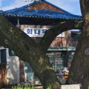 경의재 | 군위 여행 - 양산서원, 대율리 돌담, 화본리 고인돌/회화나무