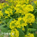 구억농장 이미지