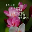 즐거운 이미지