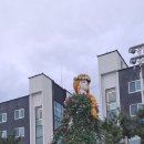 삼척해수욕장B 이미지