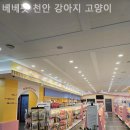 베베펫 천안 강아지분양 고양이분양 | 천안 강아지분양 베베펫 천안 강아지 고양이 진정성 있는 분양 전문가