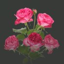 트렌드세터
