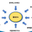 닥터모락건대점
