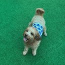 이룸독트레이닝 이미지