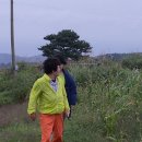 장수원목장 이미지