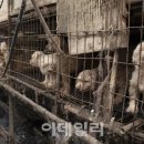 강변세탁 이미지