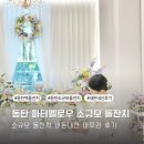 동탄 파티멜로우 직계가족끼리 한 소규모 돌잔치 내돈내산 후기