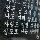 삼포방파제 이미지
