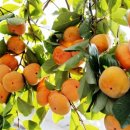 해피랜드어린이집 이미지