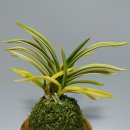 황호농장 이미지