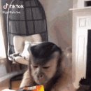 오렌지피시방 이미지