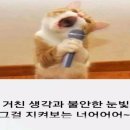 연하민박
