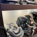 씨그린 | 신생아 카시트 비세이프 이지턴B 설치 방법, 쏘렌토 하이브리드