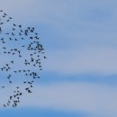 썬바다횟집 이미지