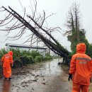 남원읍-9 이미지