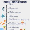 고래투어