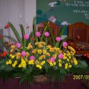 한성교회 이미지