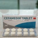 늘봄동물약국 이미지