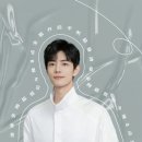 비비드비