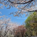 석촌호수 밥집 석촌 칼국수 보리밥 먹어본 내돈내산후기