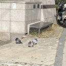 네네꽃집 이미지