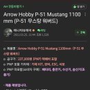ARROW HOBBY P-51D MUSTANG 1100MM PNP 이미지