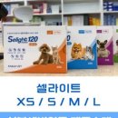 새빛약국 이미지