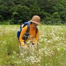 (유)하이얀 이미지