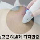 엘 바디 & 스킨 피부관리