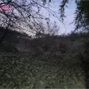 상정리마을회관 이미지