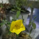 아직도 옥상창고에 갇혔어요 이미지