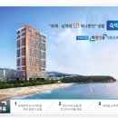 동해 천곡 파인앤유 생활형 숙박시설 분양 안내