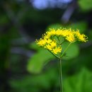 대성목장 이미지