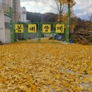 봄내양계 티스토리