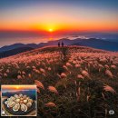 오서산자연휴양림 이미지