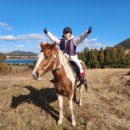 오케이승마장 이미지