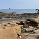 제주 납읍리 난대림 | 제주도 서쪽 가볼만한 곳 24곳 추천 (체험, 등산, 오름, 산책, 바다, 물놀이, 카페, 숙소)