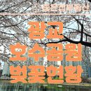 광교봄 공인중개사사무소 이미지