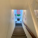 멕시칸 푸드 | [서울] 타코볼볼 명지대점 / 명지대학교 인문캠 근처 멕시칸 푸드 맛집 방문 후기 • 메뉴 포장 후기 🌮🇲🇽🌯