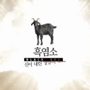 지티농장 이미지