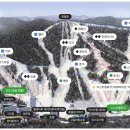 휘닉스파크 이미지