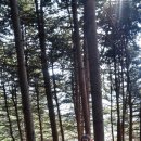 산음보건진료소 이미지